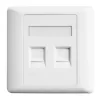 Aico CAT6 Dual Faceplate