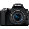 Canon EOS 250D DSLR Camera with EF-S 18-55mm f/3.5-5.6 III Lens