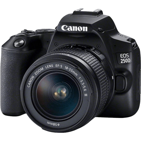 Canon EOS 250D DSLR Camera with 18-55mm f/4-5.6 IS STM Lens