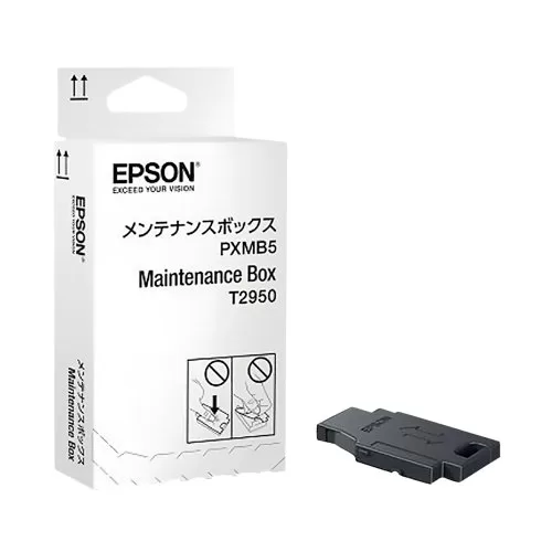 Epson T2950 Original Maintenance Box For WF-100W WF-110W Series (C13T295000)