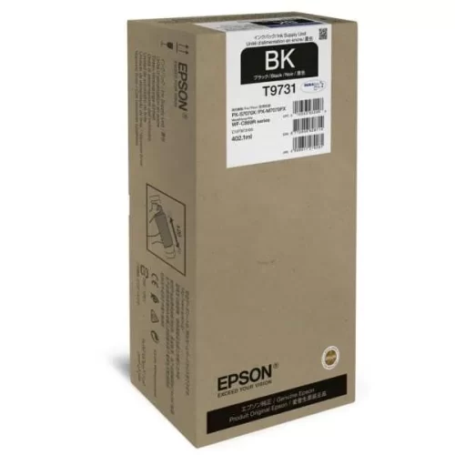 Epson T9731 Original Black Ink Cartridge (C13T973100)