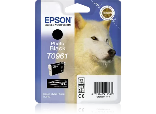 Epson T0961 Original Photo Black Cartridge