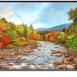 Mecer 475″ 4K UHD Smart Original LED Panel (75C1U)